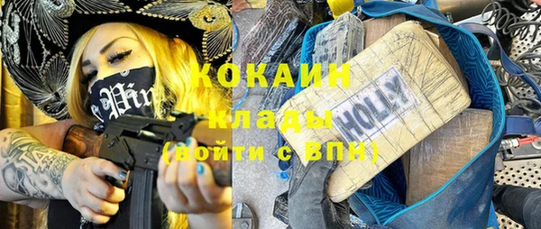 трава Няндома