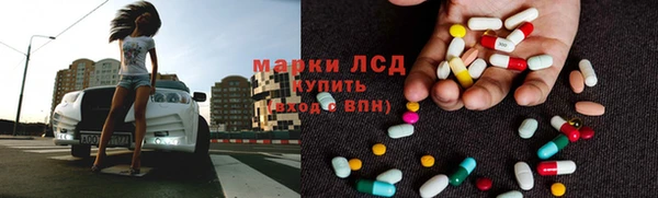 трава Няндома