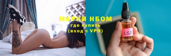 трава Няндома