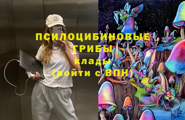 ПСИЛОЦИБИНОВЫЕ ГРИБЫ Нязепетровск