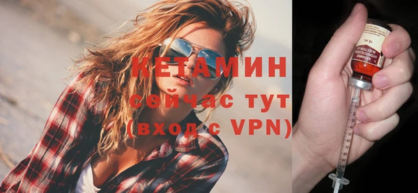 трава Няндома