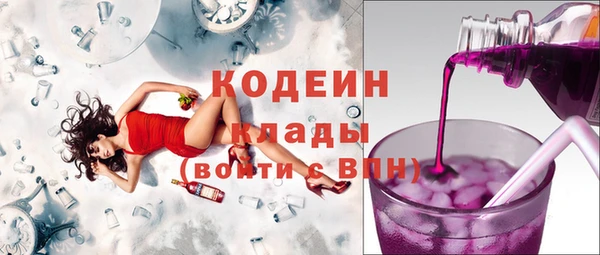 трава Няндома